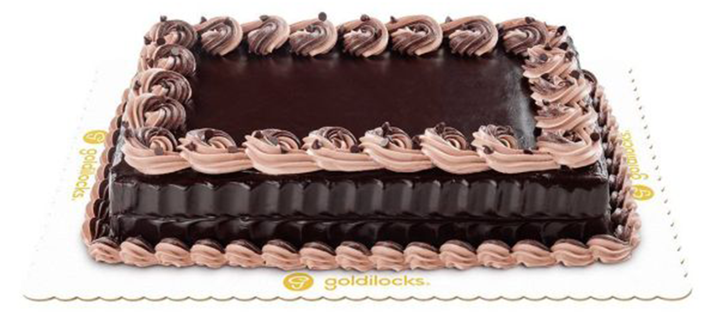 Luscious chocolate cake 8x12