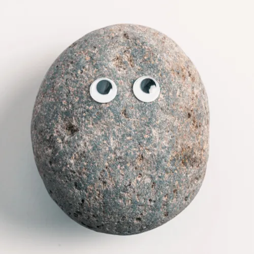 pet-rock pet rock